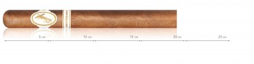 Davidoff Doble R