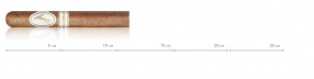 Davidoff Millenium Blend Petit Corona