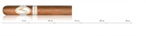 Davidoff Millenium Blend Robusto