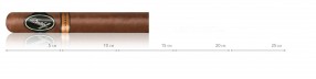 Davidoff Nicaragua Serie Robusto Tubos