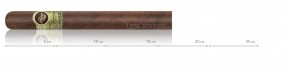 Padron series 1964 Maduro Monarca