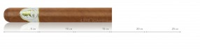 Davidoff Sir Winston Churchill, Toro