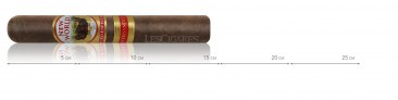 Abdel Fernandez New World Puro Especial Robusto