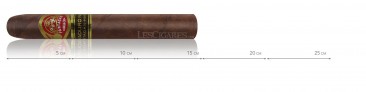 Partagas Maduro Series No. 3