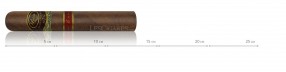 Padron Family Reserve no 85