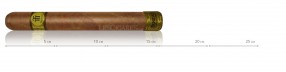 Trinidad Robusto Extra Travel Humidor Collector