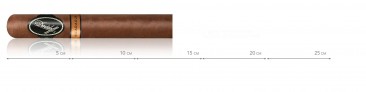 copy of Davidoff Nicaragua Serie Robusto Tubos