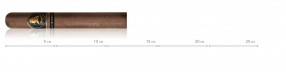 copy of Davidoff Sir Winston Churchill, Late Hour Robusto