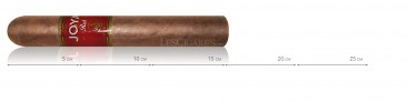 copy of Joya de Nicaragua Red Robusto