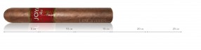 copy of Joya de Nicaragua Red Robusto