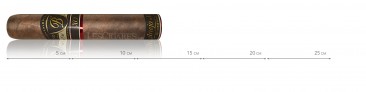 Balmoral Anejo XO maduro Rothschild masivo