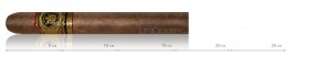 copy of Arturo Fuente Don Carlos double robusto