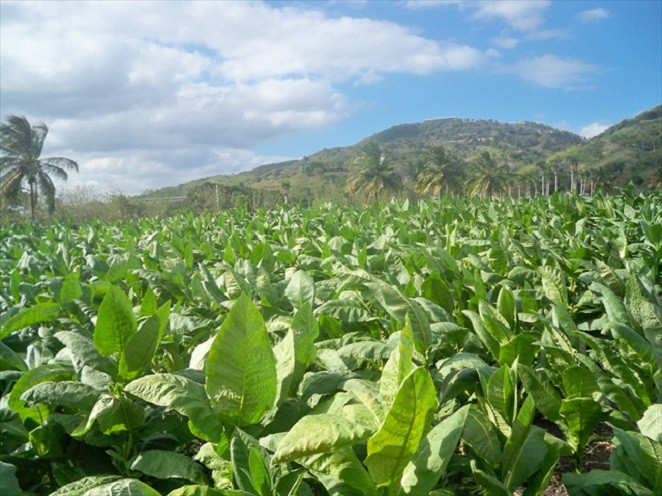 Santo Domingo